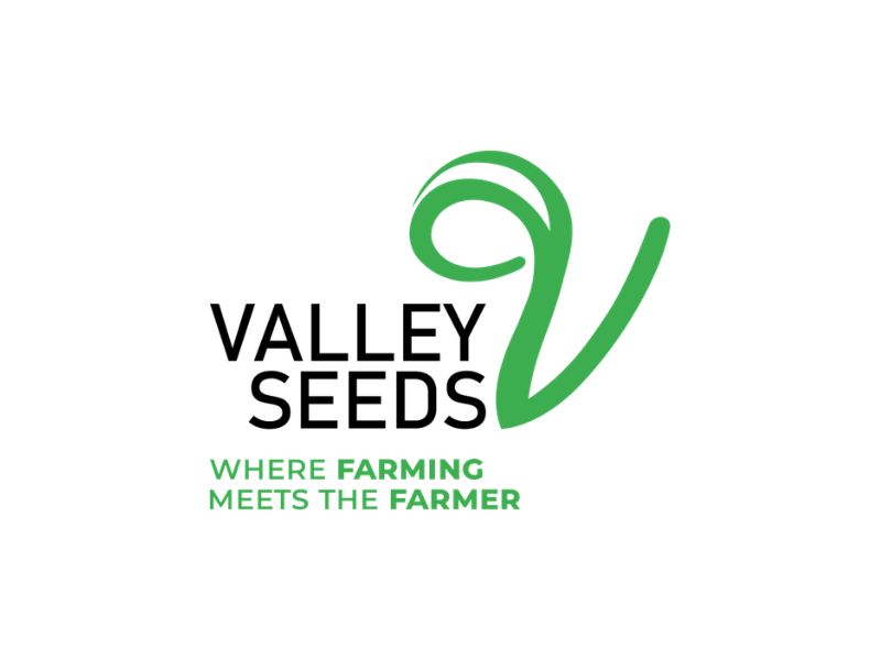 Valley Seeds Secures Global Partnership to Strengthen Zimbabwe’s Food Future